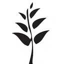 Harvest Church of Madison logo